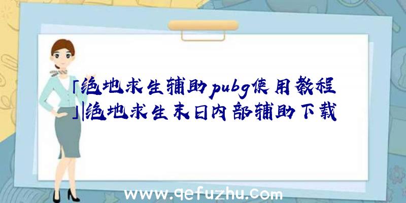 「绝地求生辅助pubg使用教程」|绝地求生末日内部辅助下载